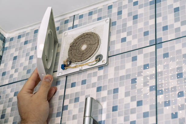 Best Air Duct Sanitizing Services  in Kirkl, IN